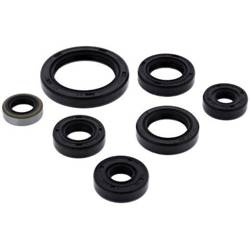 Zestaw uszczelniaczy silnikowych KAWASAKI KFX250 MOJAVE 87-04 Winderosa