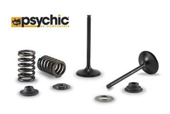 Nachman Przekładki tarcz sprzęgłowych KTM EXC530 (8 SZT.) (PS170C)