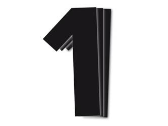 BLACKBIRD Numer startowy 1