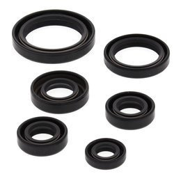 WINDEROSA Komplet Uszczelniaczy Silnikowych KAWASAKI KEF300 LAKOTA 95-03, POLARIS 450 HO 2X4 MD 16