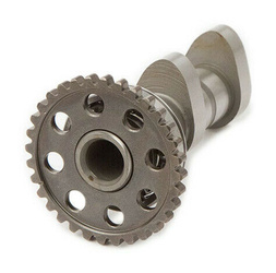 Wałek rozrzadu ssący Yamaha YZ 450F '10-'13 (YZ450F) Hot Cams