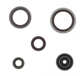 ATHENA Komplet uszczelniaczy silnikowych BETA 250/300 RR '14-'17