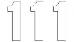 BLACKBIRD Numer startowy 1