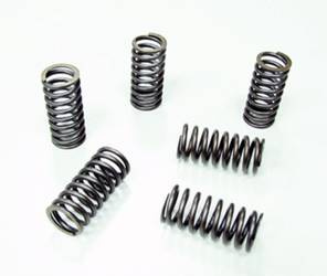 Sprężyny sprzęgła Honda CRF 230F 03-16 / CR 480R 82 PSYCHIC