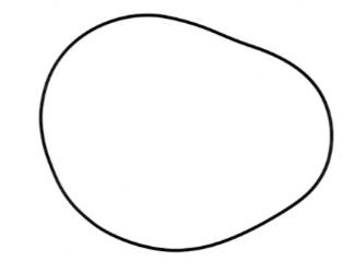 Prox Uszczelka pokrywy sprzęgła Honda CRF 450R/X 02-17 / Honda TRX 450R 04-09