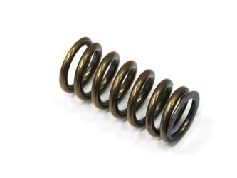 Nachman Sprężyna zaworu ssącego Honda CRF 450R '09-'16 (MX-09533IS)