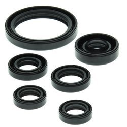 WINDEROSA Komplet Uszczelniaczy Silnikowych YAMAHA YFZ 450 '04-'13