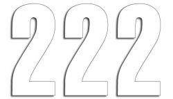 BLACKBIRD Numer startowy 2