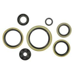 WINDEROSA Komplet Uszczelniaczy Silnikowych KTM EXC 250 94-99, SX 250 94-99