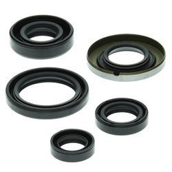 WINDEROSA Komplet Uszczelniaczy Silnikowych HONDA TRX400 EX 99-04