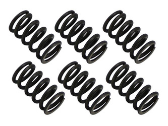 Sprężyny sprzęgła Honda ATC 250ES/SX / ATC 350X 85-87 / TRX 200D 91-97 / TRX 250X FOURTRAX 87-92 / TRX 300EX 93-08 / TRX 300X 09-11 BRONCO