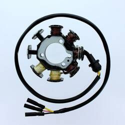 Electrosport Uzwojenie alternatora / stator Honda XR 200R '94-'02