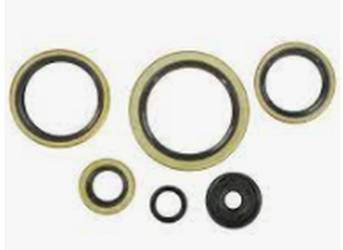 Zestaw uszczelniaczy silnikowych KTM EXC 300 94-03, EXC 360 96-97, EXC 380 98-02, MXC 300 94-03, MXC 360 96-97, MXC 380 98-01, SX 300 94, SX 360 96-97, SX 380 98-02 Winderosa