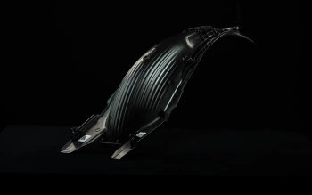 Stark Future Błotnik tylni Stark Varg SM, EX kolor biały