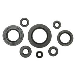 WINDEROSA Komplet Uszczelniaczy Silnikowych HONDA TRX420 FA IRS 09-19, TRX420 FA 17-19, TRX420 FPA IRS 09-14, TRX500FA 15-19