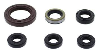 WINDEROSA Komplet Uszczelniaczy Silnikowych SUZUKI LT-Z400 09-14