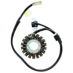 Electrosport Uzwojenie alternatora / stator Yamaha WRF 450 12-15