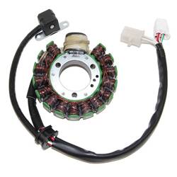 Electrosport Uzwojenie alternatora / stator Yamaha YFB 250 TIMBERWOLF 94-00 / YFM 250 BEAR TRACKER 99-00