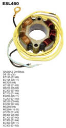 Electrosport Uzwojenie alternatora / stator ze światłami GAS GAS 125/200/250/300 97-11