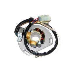 Electrosport Uzwojenie alternatora / stator ze światłami KTM 125/200/250/300 EXC/SX/XC 06-